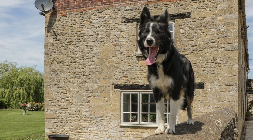 Photo of Swallows, 1 The Old Stables