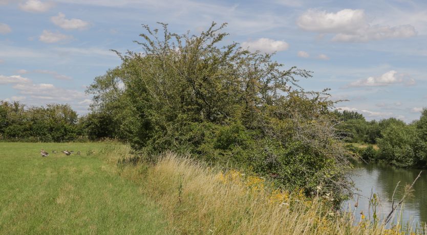 Photo of Swallows, 1 The Old Stables