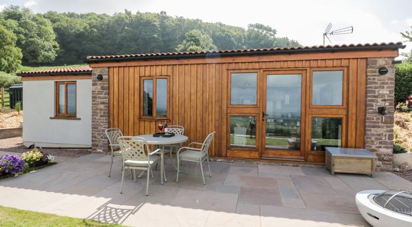 Photo of The Comfy Cow