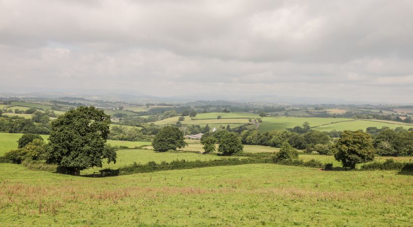 Photo of The Comfy Cow