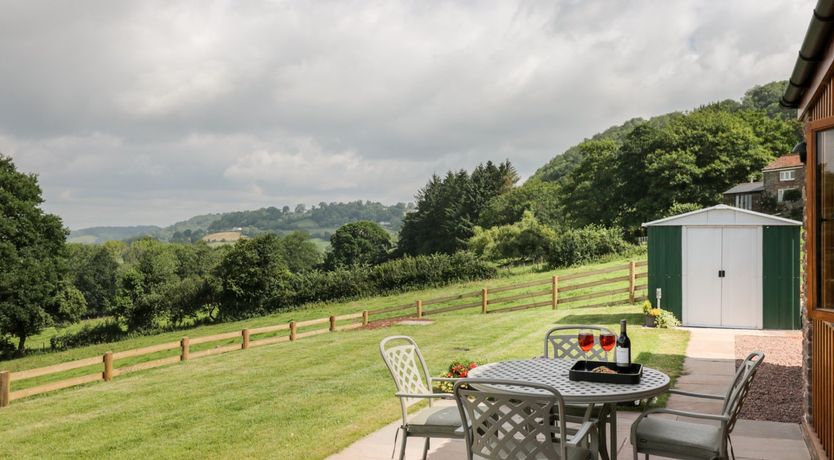 Photo of The Comfy Cow