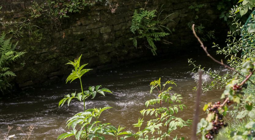 Photo of Hunters Cottage