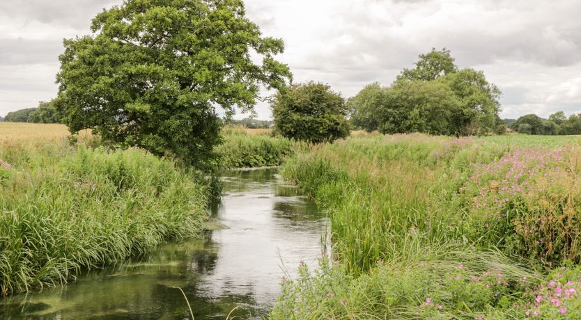 Photo of The Stables