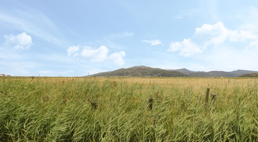 Photo of Hafod-y-Gors