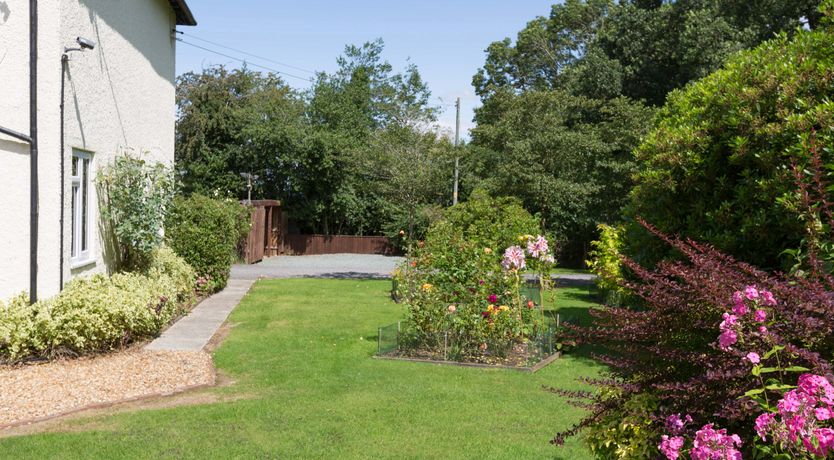 Photo of The Big Dingle