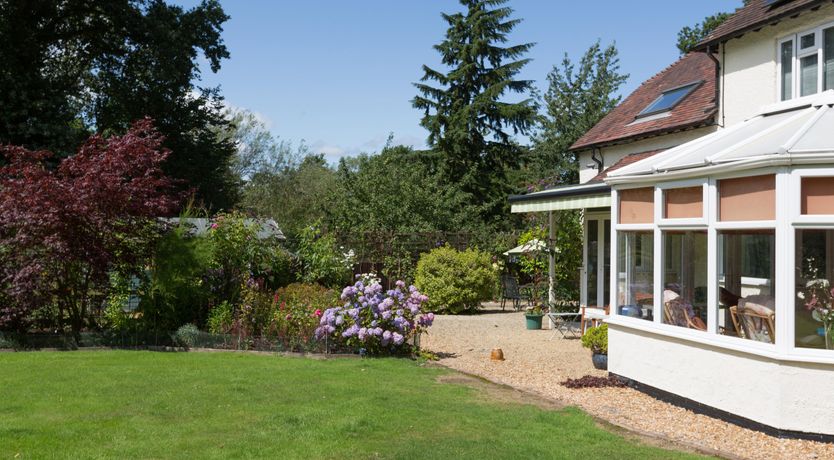 Photo of The Big Dingle