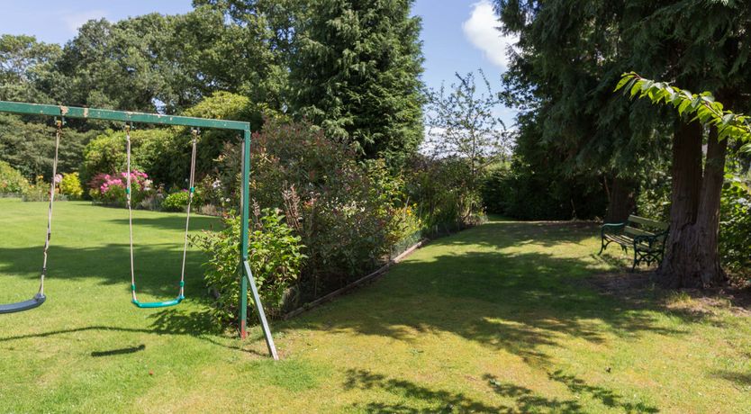 Photo of The Big Dingle