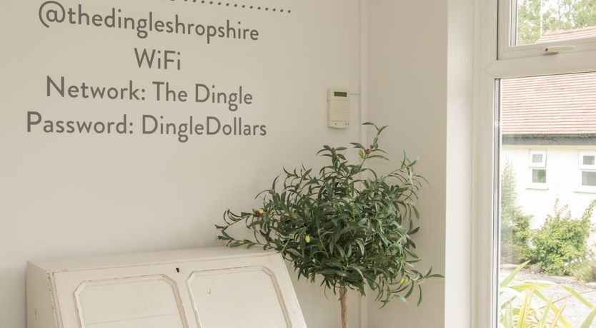 Photo of The Big Dingle
