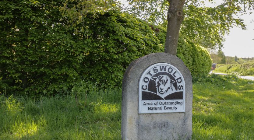 Photo of Molly's Bit