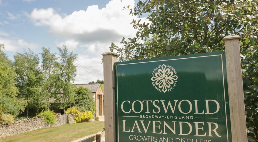 Photo of Molly's Bit