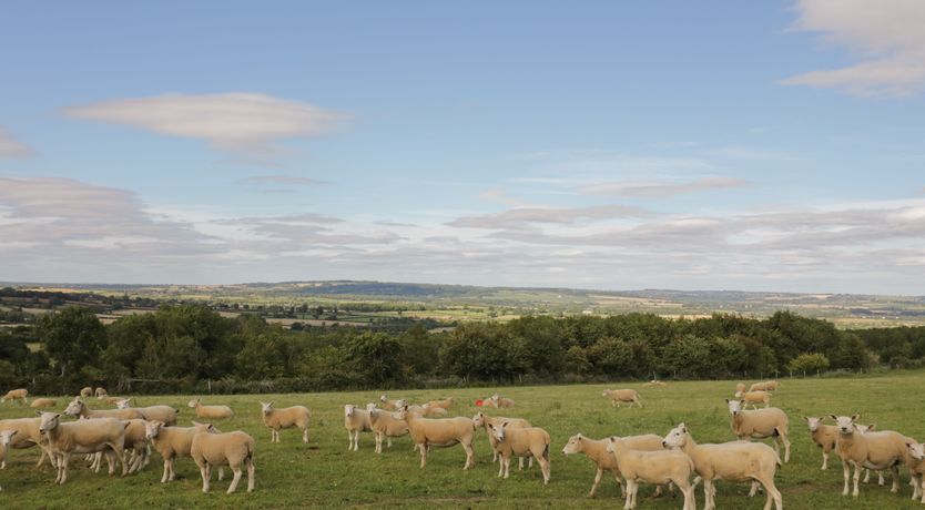 Photo of Molly's Bit