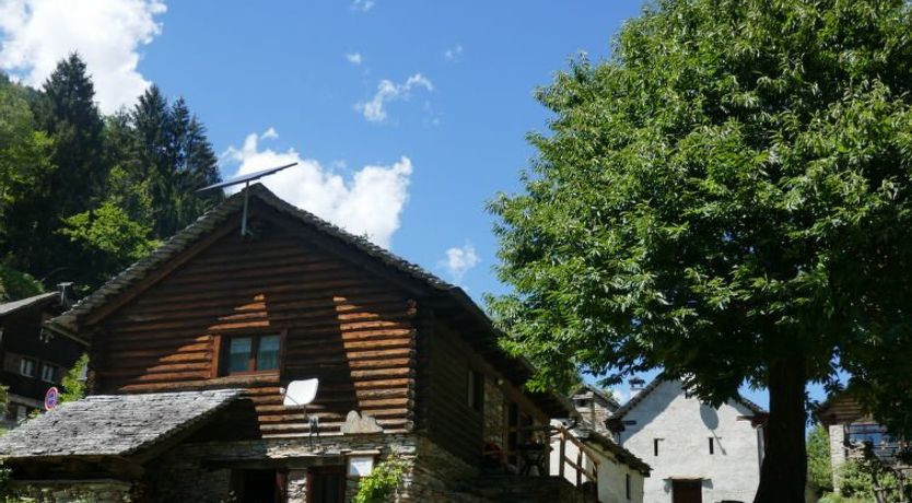 Photo of Rustico Ingrid (MVA338)