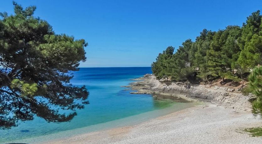 Photo of Martinović