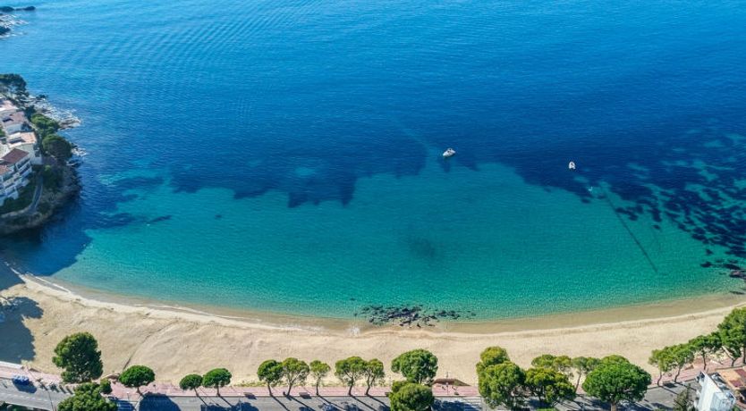 Photo of Los Geranios