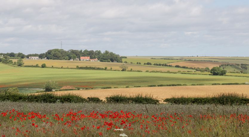 Photo of Scarborough Cottage