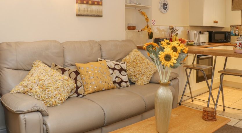 Photo of The Shavings