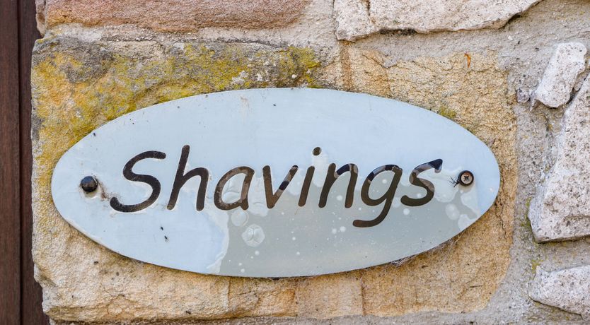 Photo of The Shavings