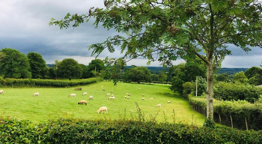 Photo of 1 Bed in Hatherleigh