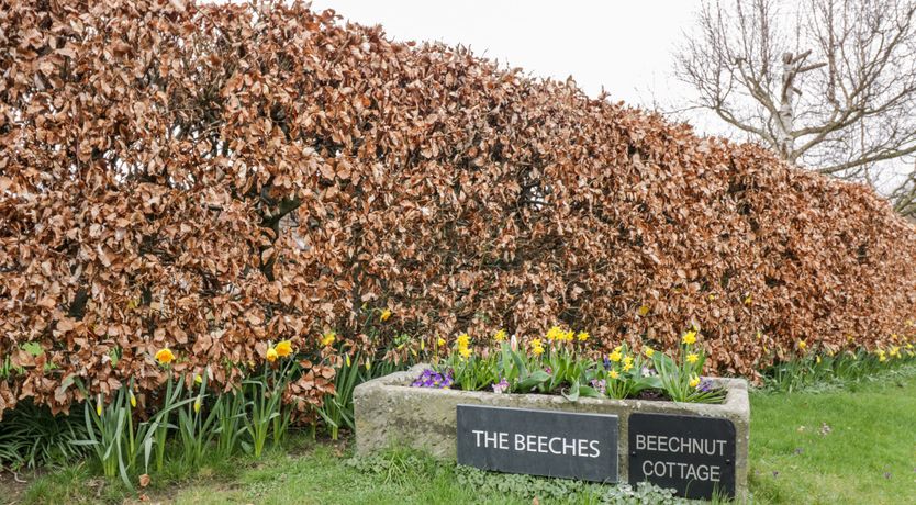 Photo of Beechnut Cottage