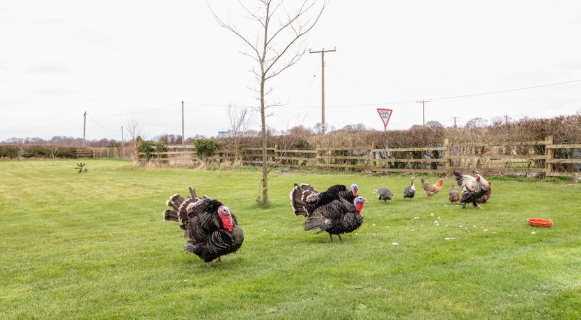 Photo of Bellamour End Cottage