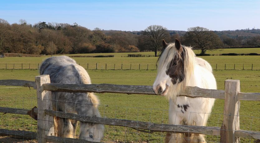 Photo of The Cowshed