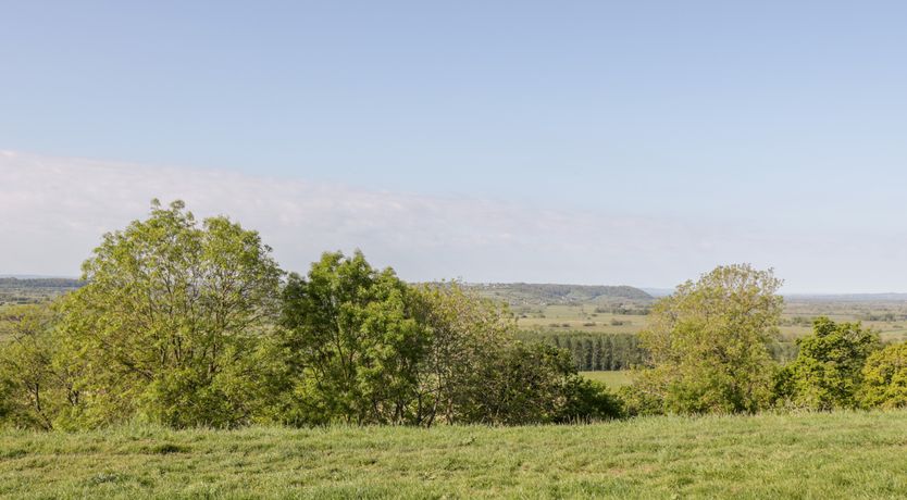 Photo of Old Cary Cottage