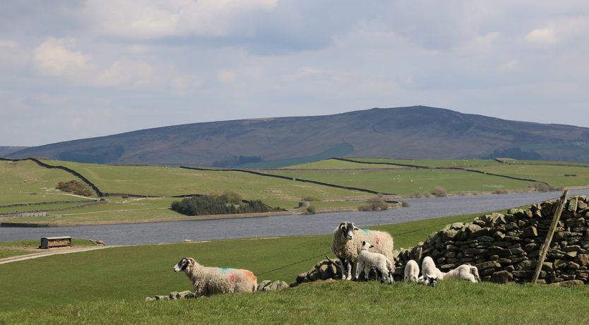 Photo of Otter Lodge