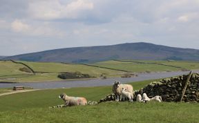 Photo of Otter Lodge