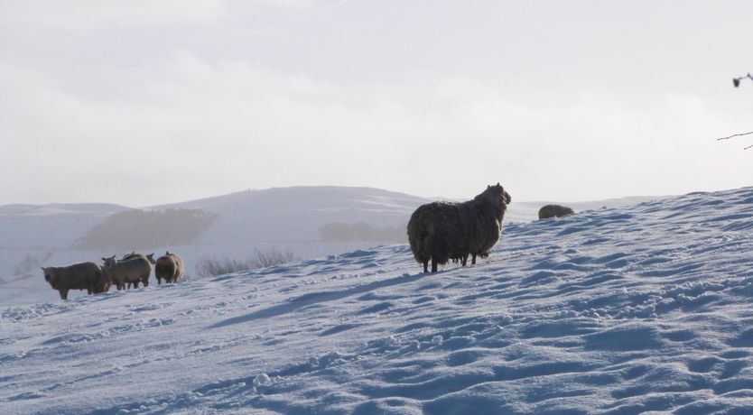 Photo of Otter Lodge