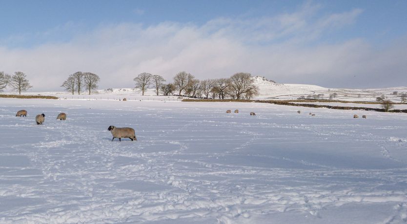 Photo of Otter Lodge