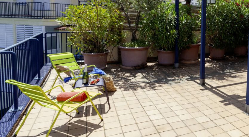 Photo of L'Olivar II