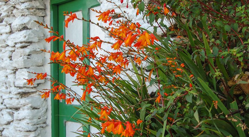 Photo of Nana's House