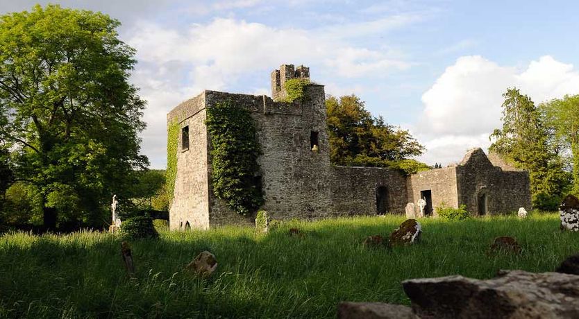 Photo of Meath Country House
