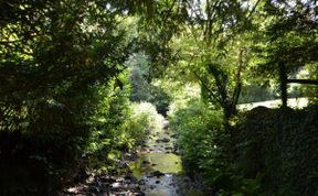 Photo of Cottage in North Devon