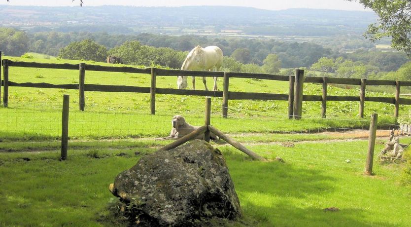 Photo of 1 Bed in Shaftesbury