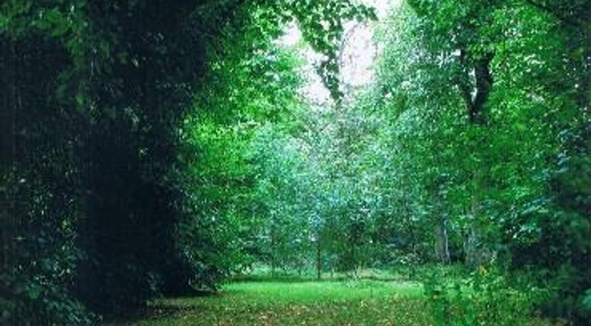 Photo of Belan Lodge