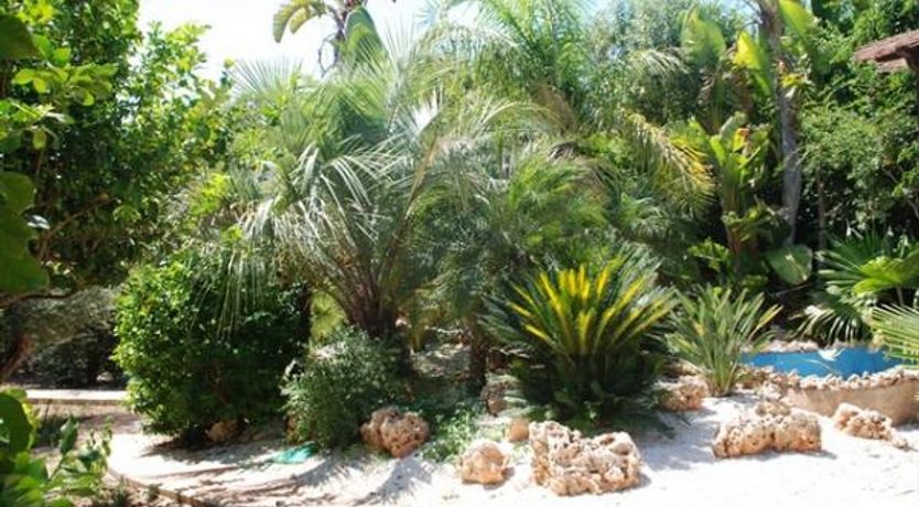 Photo of Sea Caves View