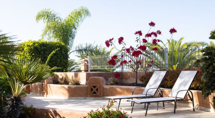 Photo of Duplex Bencomo