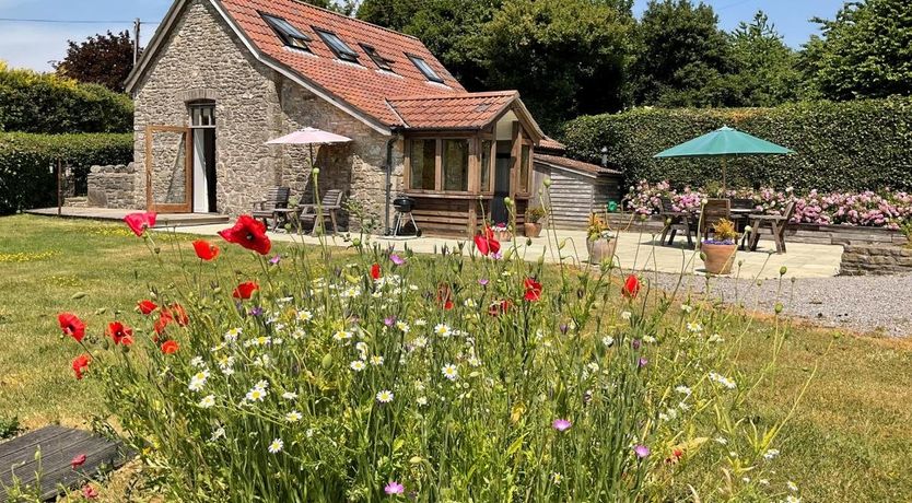 Photo of in Cheddar  (TFORG)