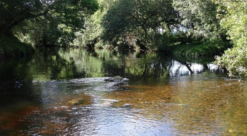 Photo of Eugene's Cottage