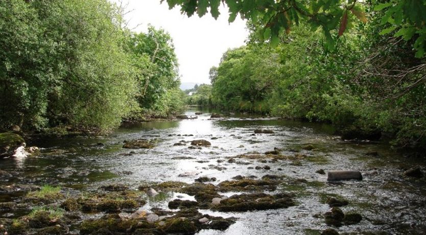 Photo of Eugene's Cottage