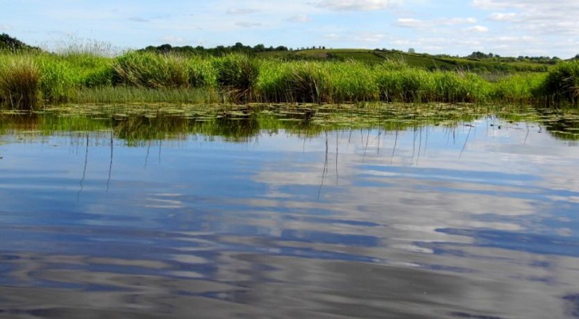 Photo of Lakeside Cottages