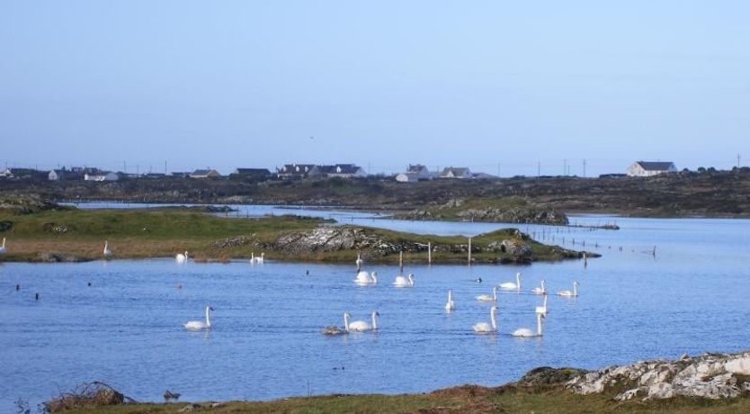 Photo of Kilronan Cottage 1