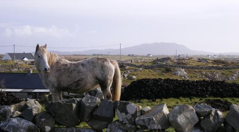 Photo of Kilronan Cottage 1