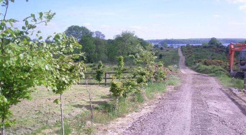 Photo of Trinity Lodge