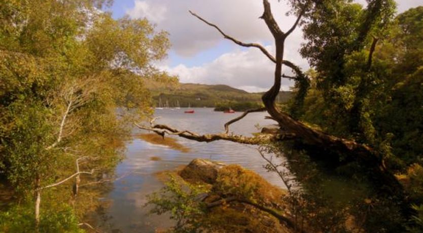 Photo of Hill Sea View Cottage