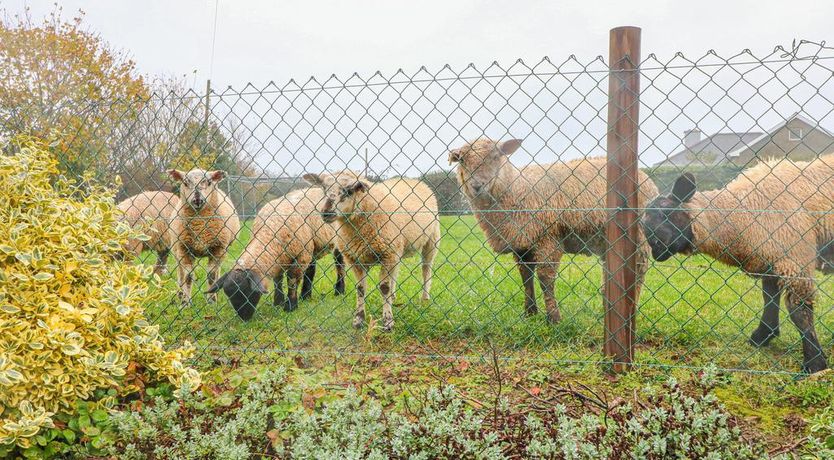 Photo of Rose Cottage