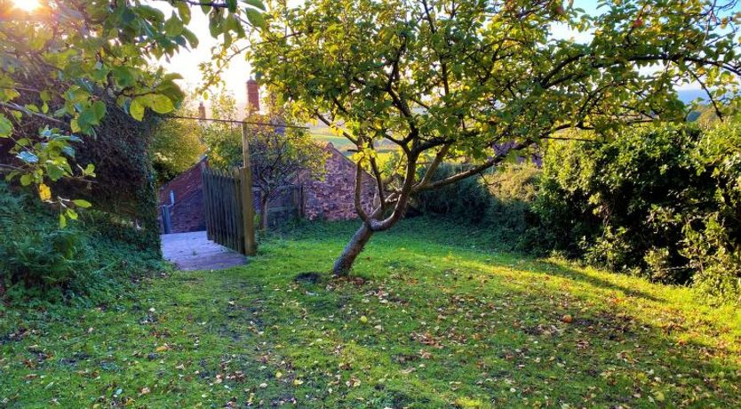 Photo of Moonfleat Cottage