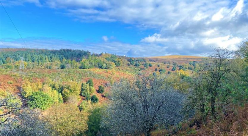 Photo of Moonfleat Cottage