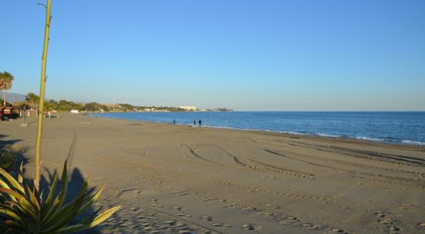 Photo of Water Gardens